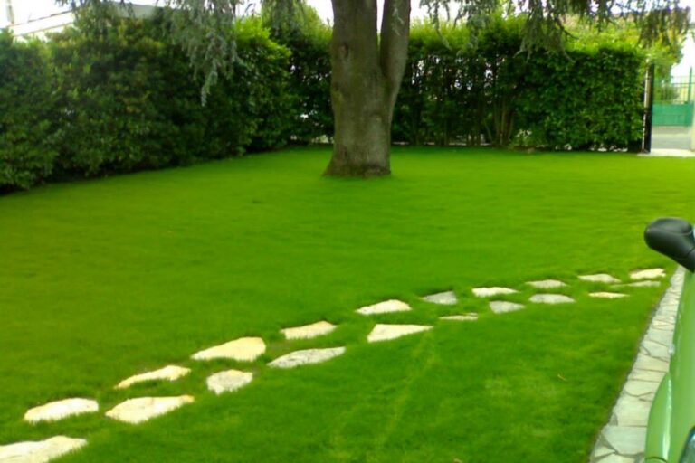 Les Paysages Du Sud Ouest Paysagiste Bordeaux Amenagement Paysager 3 1