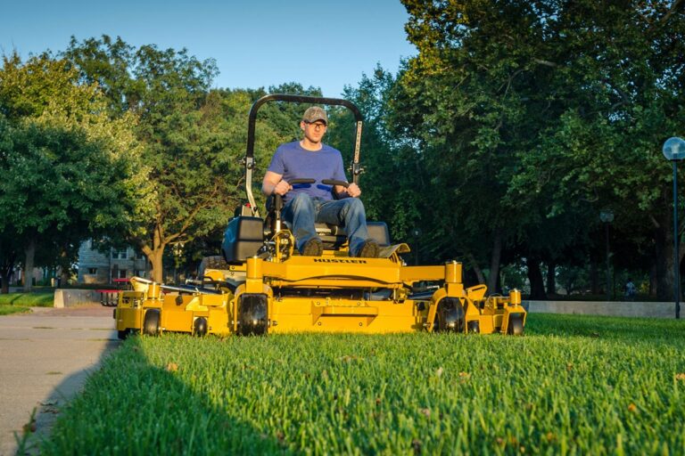 Les Paysages Du Sud Ouest Paysagiste Bordeaux Entretien Des Parcs Et Jardins 3